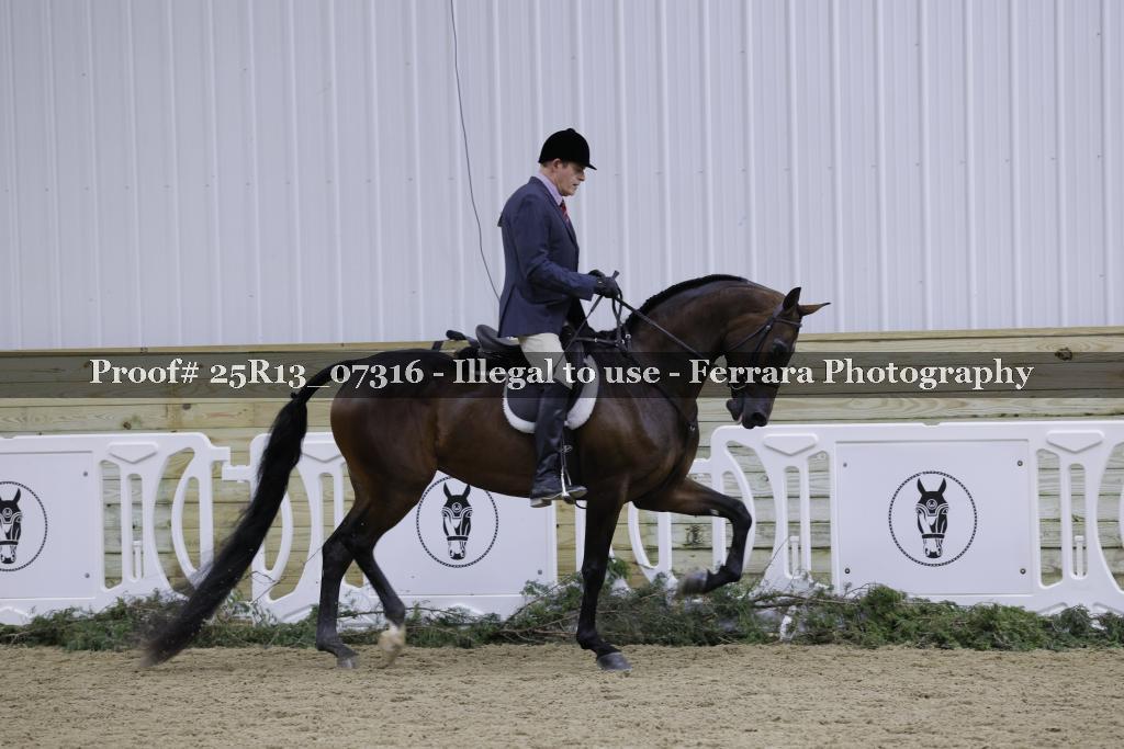 Proof 25R13_07316