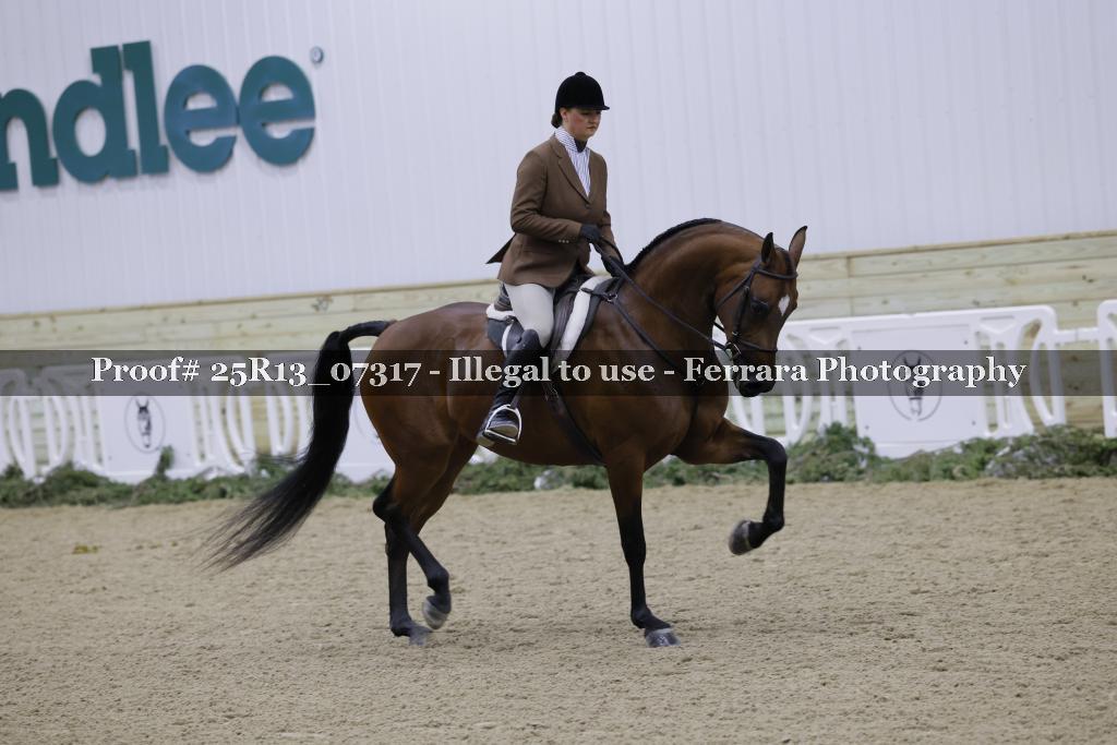 Proof 25R13_07317