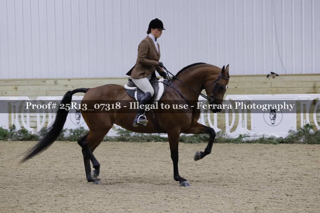Proof 25R13_07318