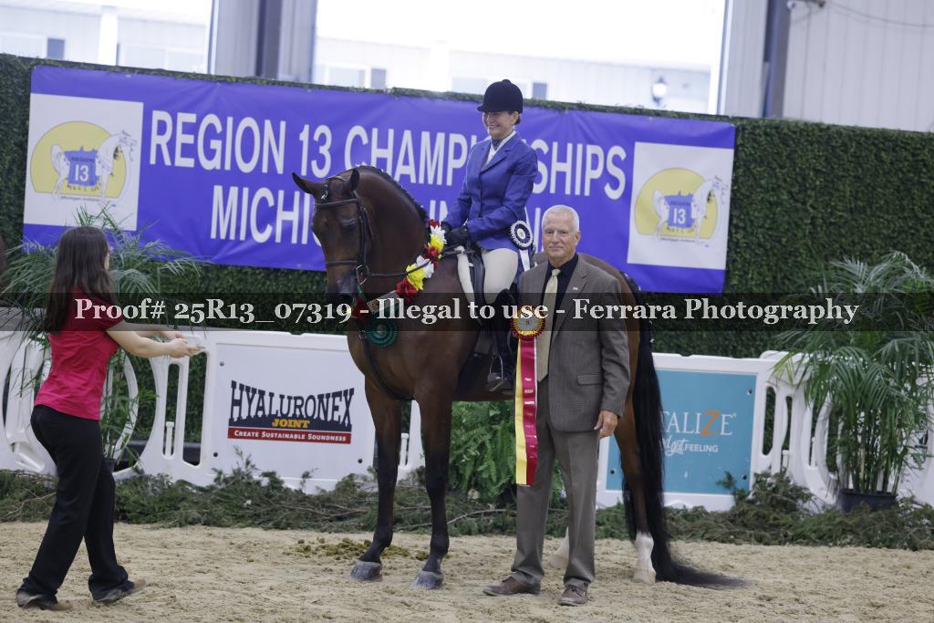 Proof 25R13_07319