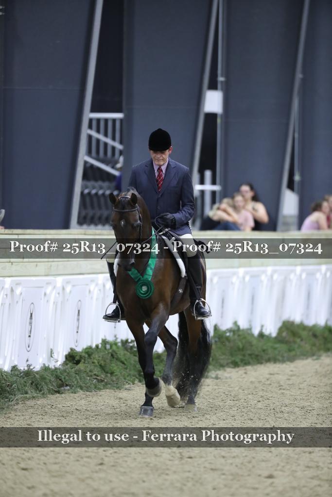 Proof 25R13_07324