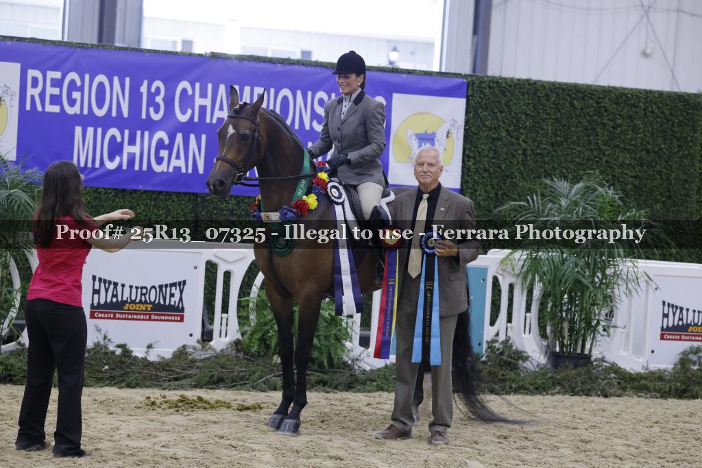 Proof 25R13_07325