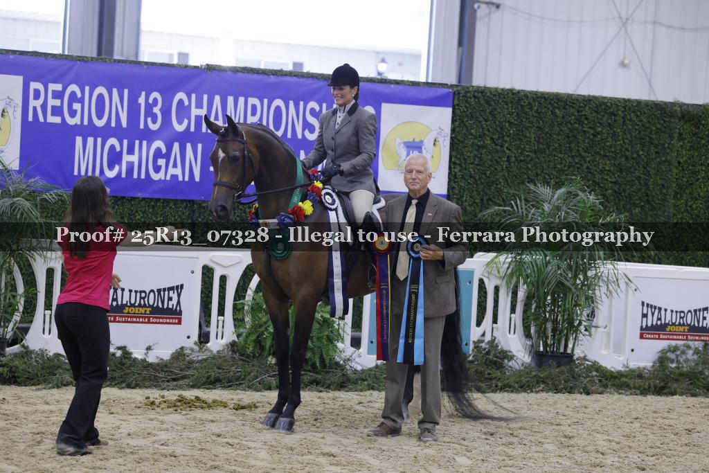 Proof 25R13_07328