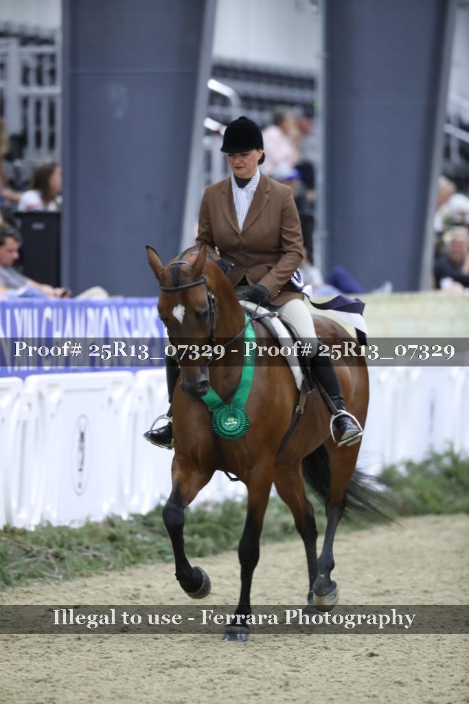 Proof 25R13_07329