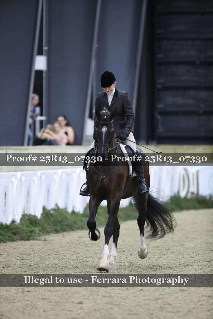 Proof 25R13_07330