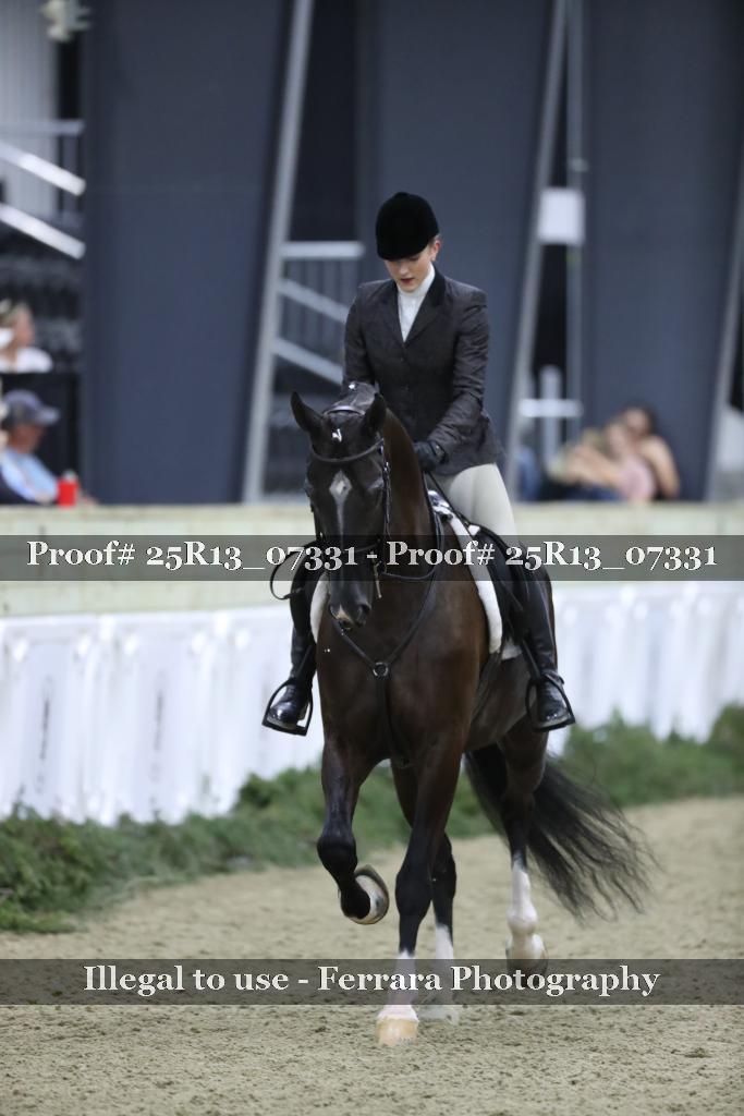 Proof 25R13_07331