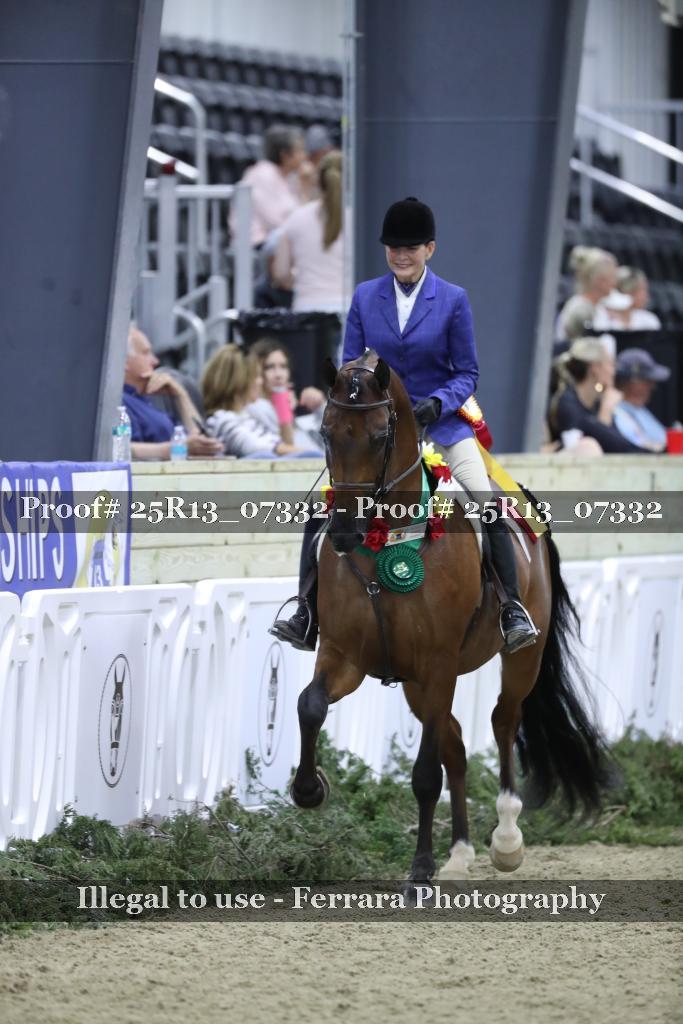 Proof 25R13_07332