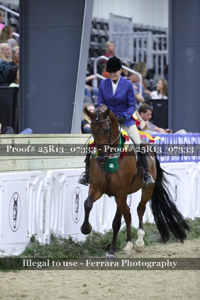 Proof 25R13_07333