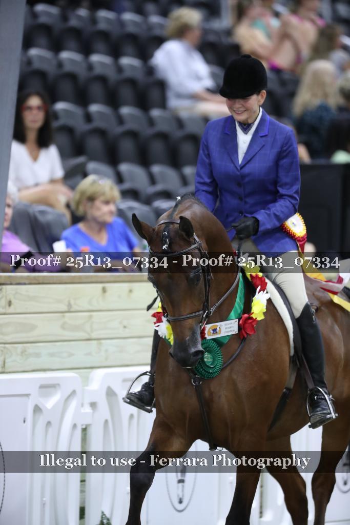 Proof 25R13_07334