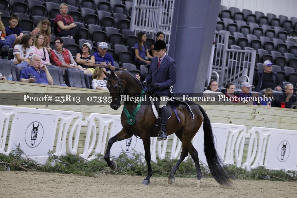 Proof 25R13_07335