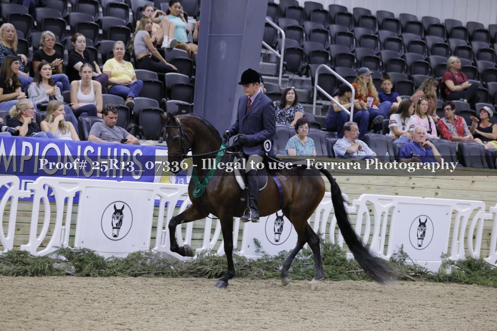Proof 25R13_07336