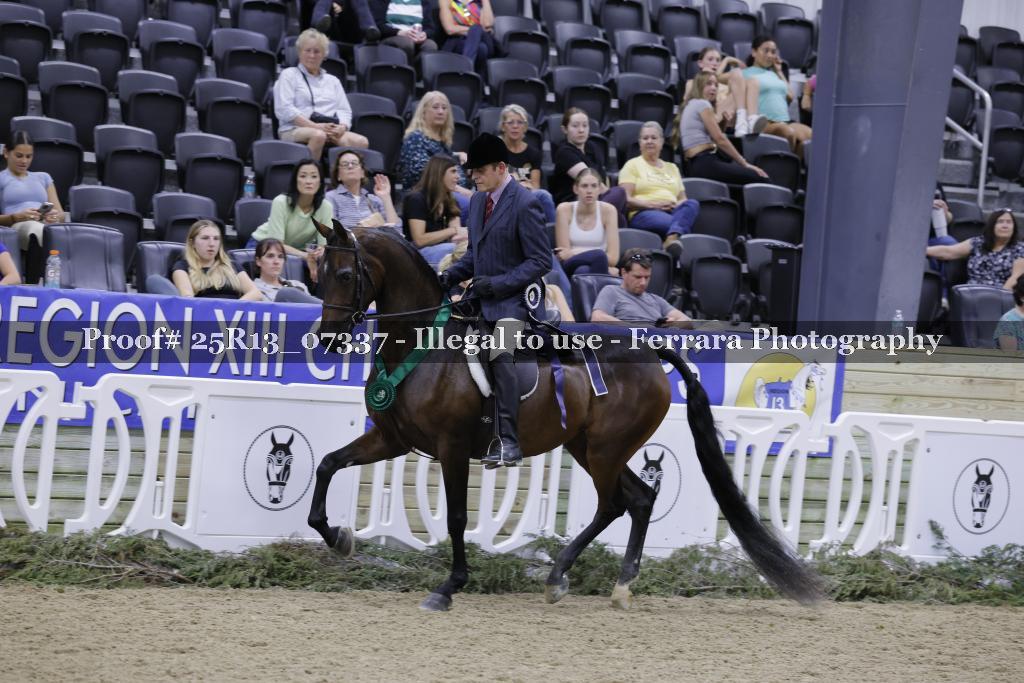 Proof 25R13_07337