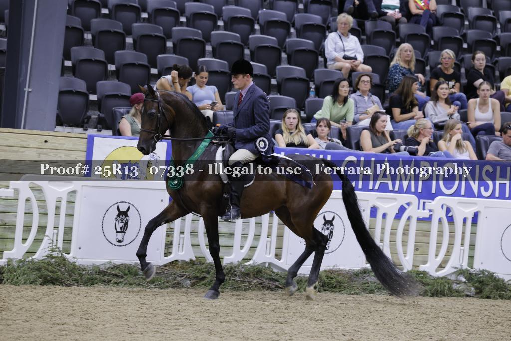 Proof 25R13_07338