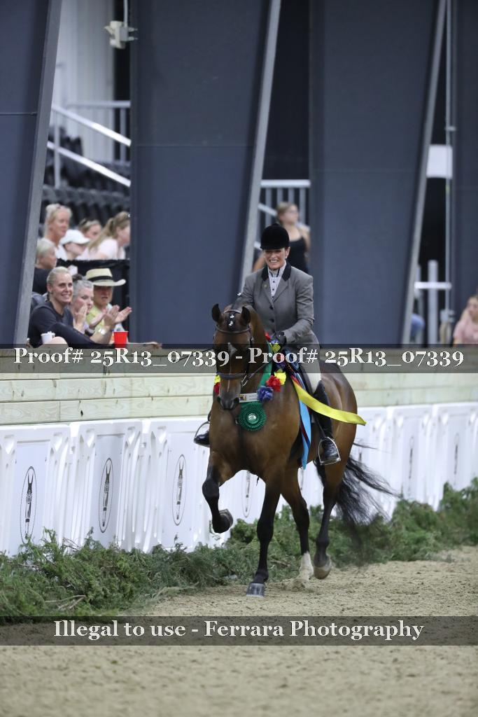 Proof 25R13_07339