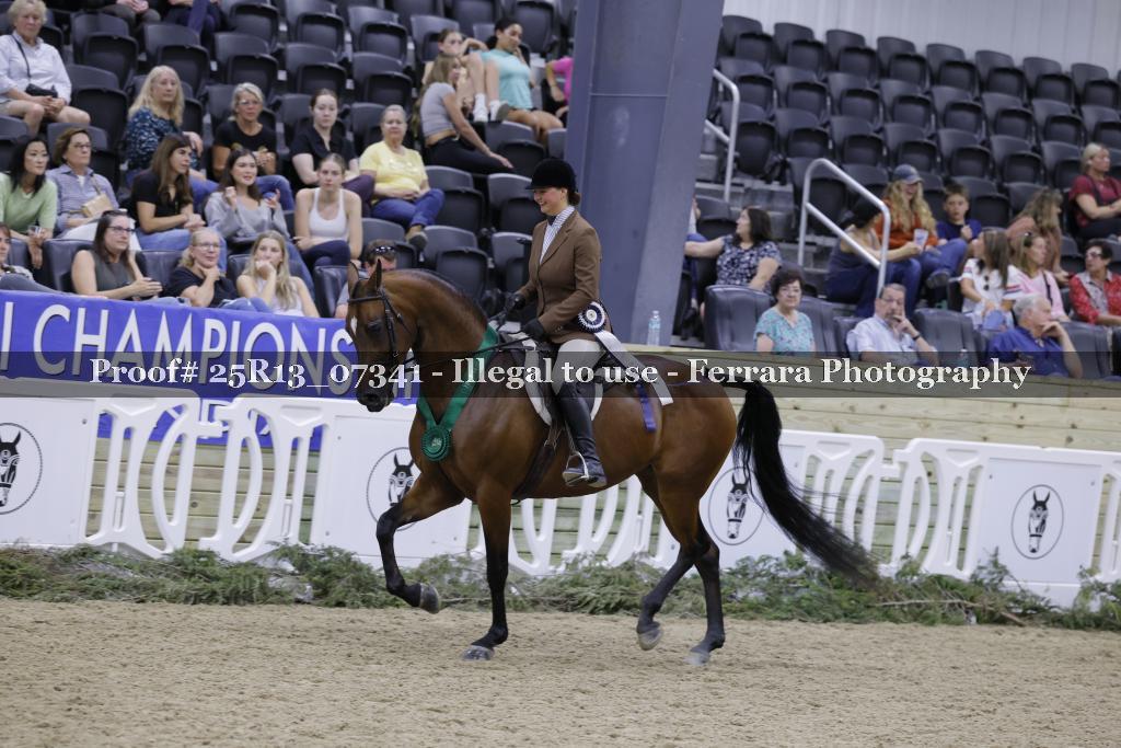 Proof 25R13_07341