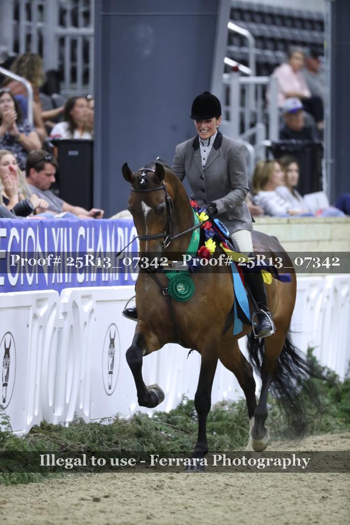 Proof 25R13_07342