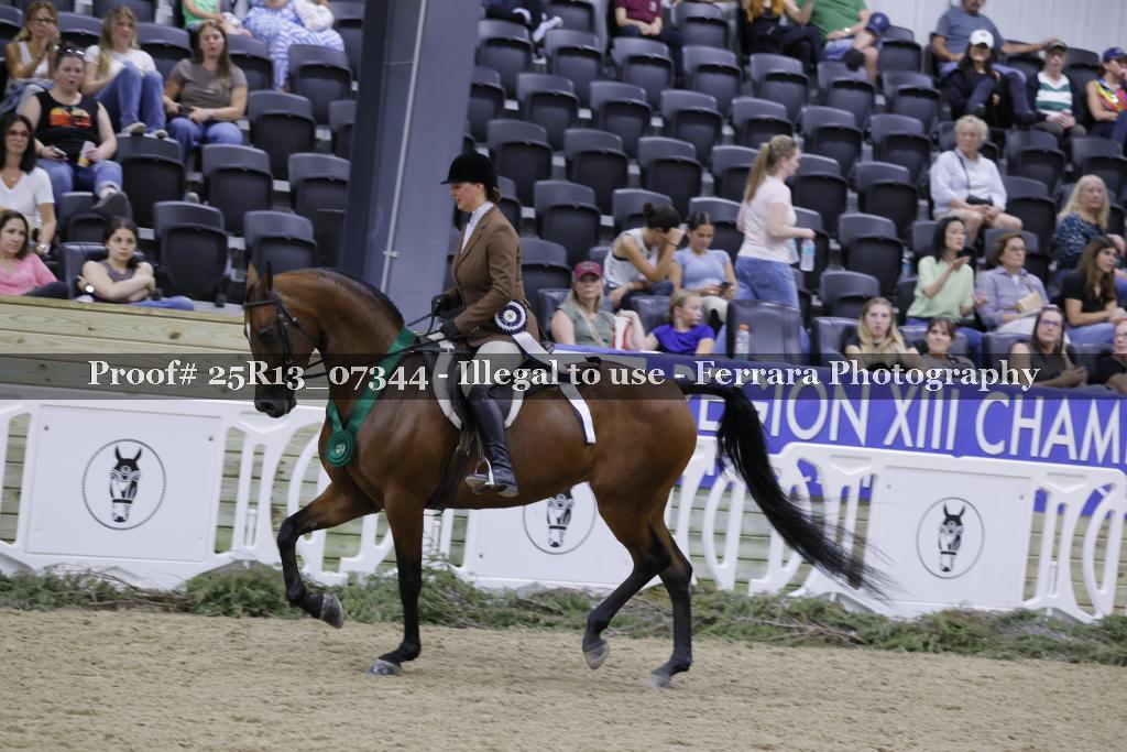 Proof 25R13_07344