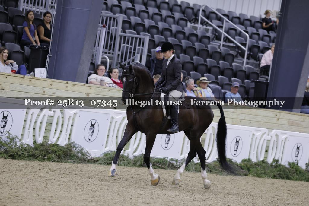 Proof 25R13_07345