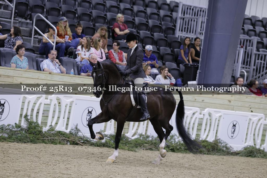 Proof 25R13_07346