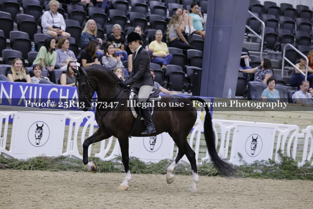 Proof 25R13_07347