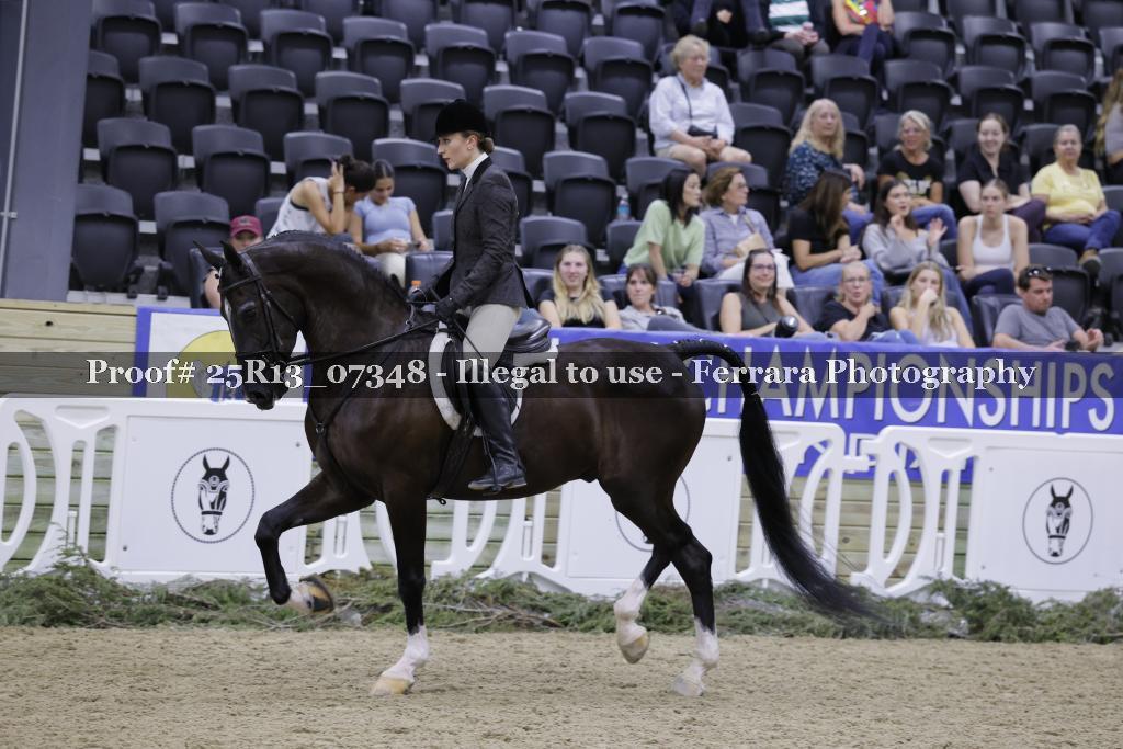 Proof 25R13_07348