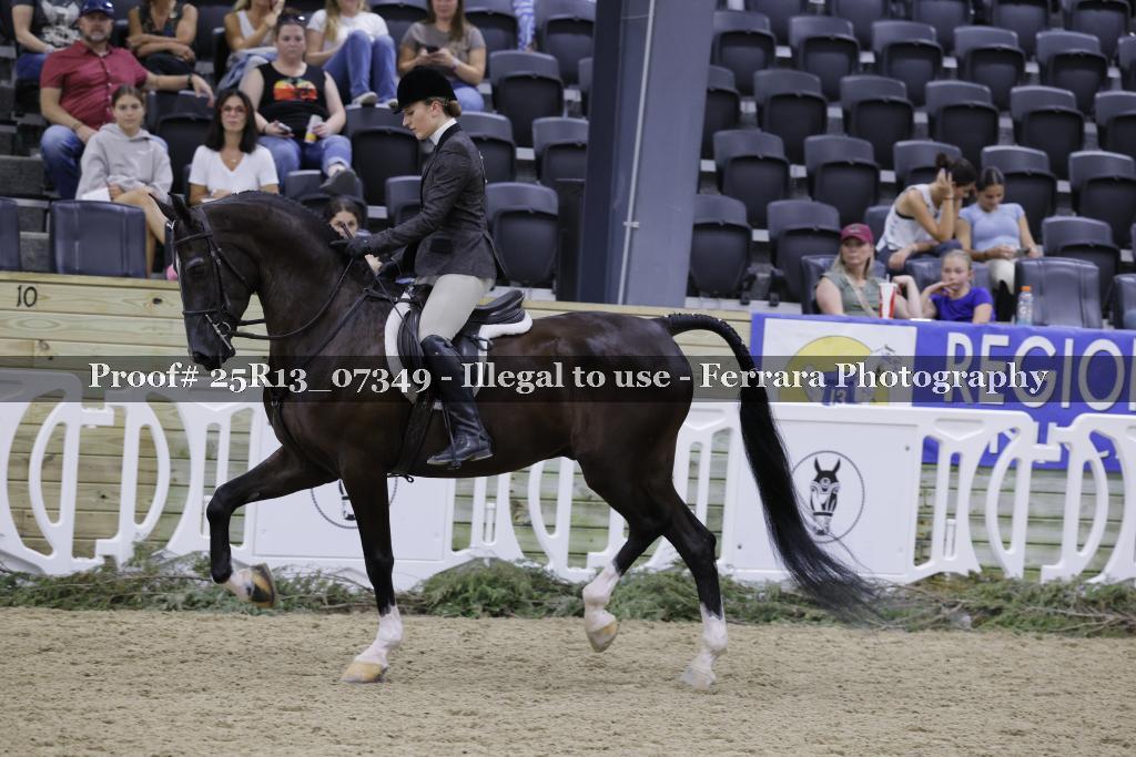 Proof 25R13_07349