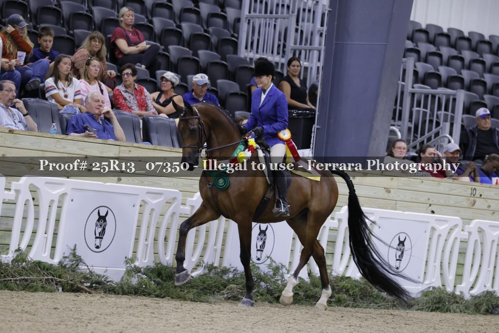 Proof 25R13_07350