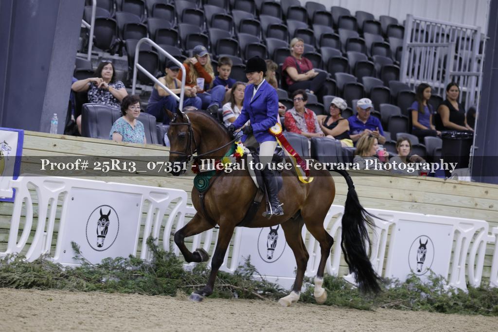 Proof 25R13_07351