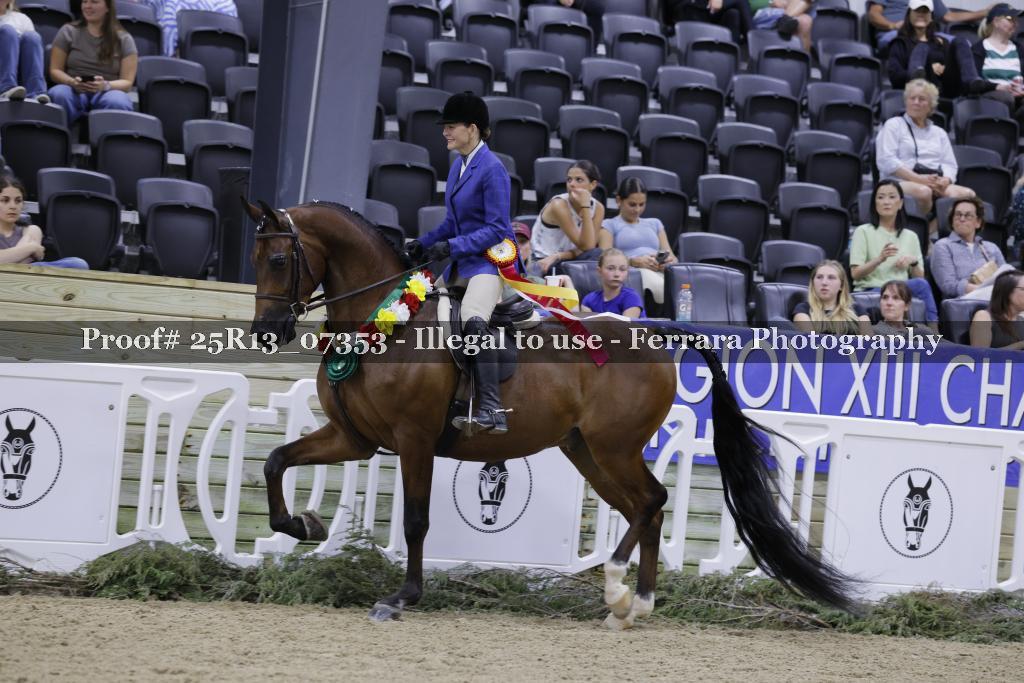 Proof 25R13_07353