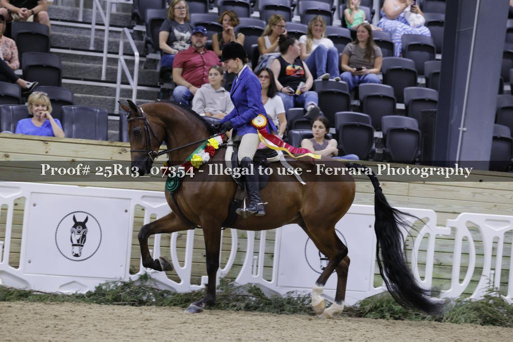 Proof 25R13_07354