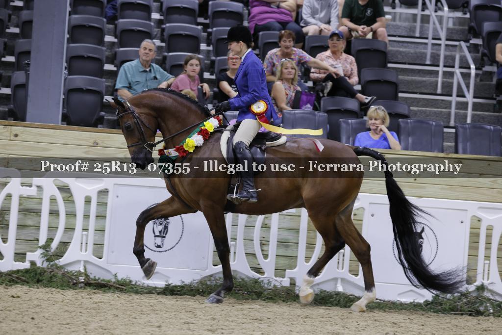 Proof 25R13_07355