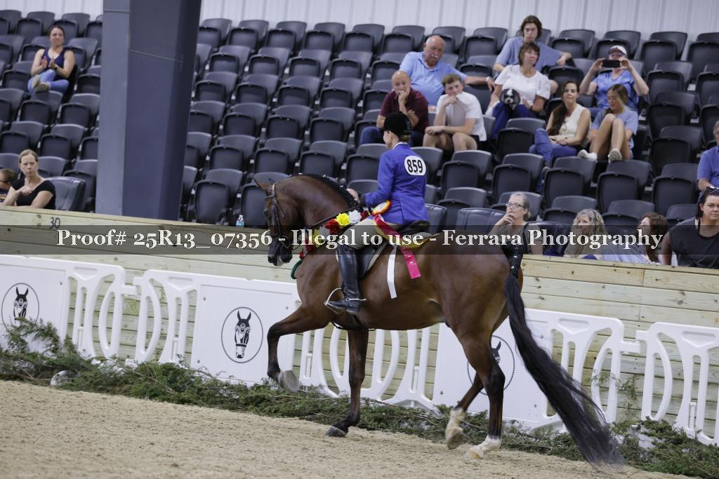 Proof 25R13_07356