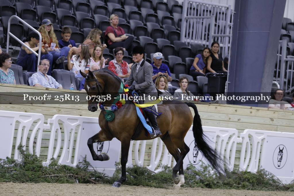 Proof 25R13_07358