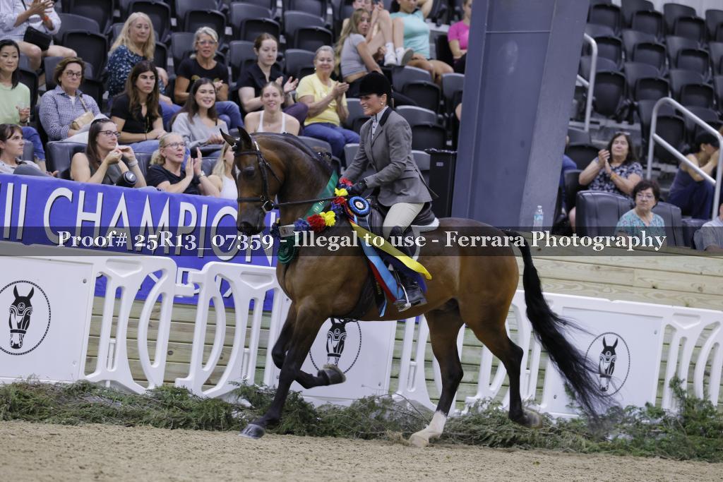 Proof 25R13_07359