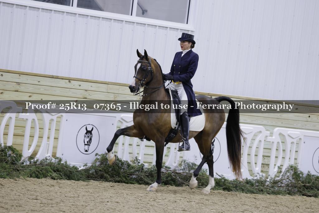 Proof 25R13_07365