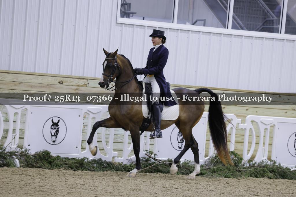 Proof 25R13_07366
