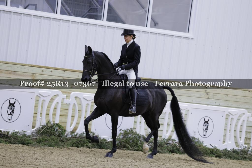 Proof 25R13_07367