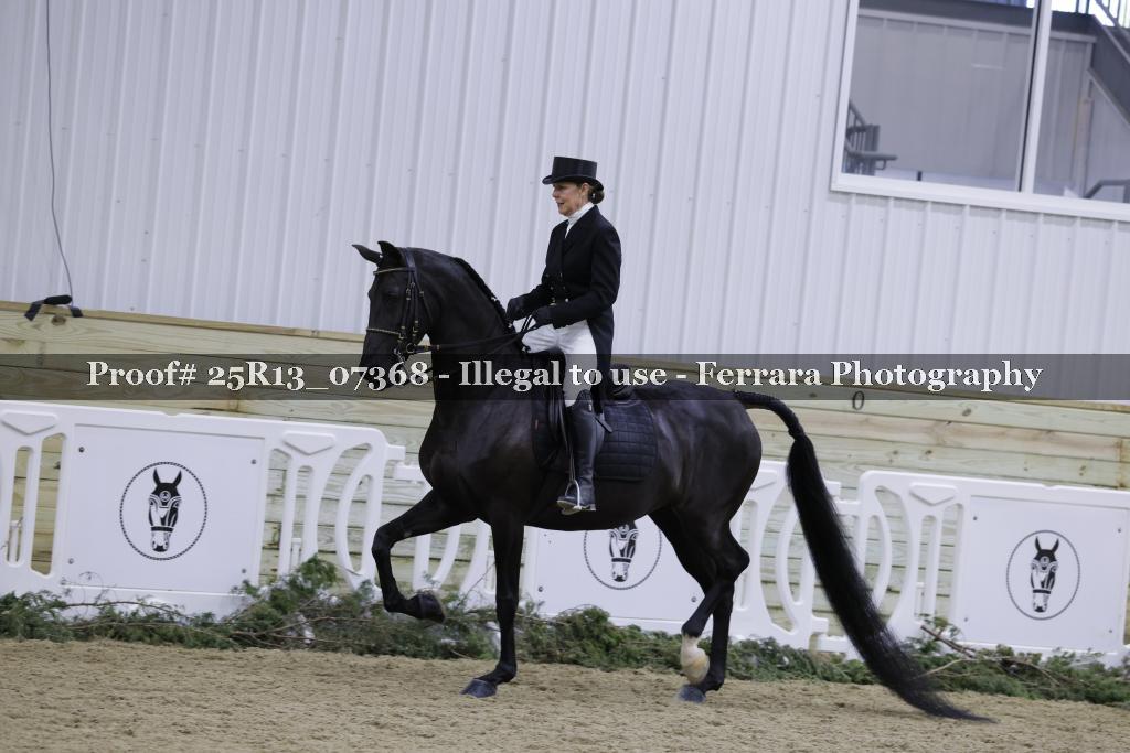 Proof 25R13_07368