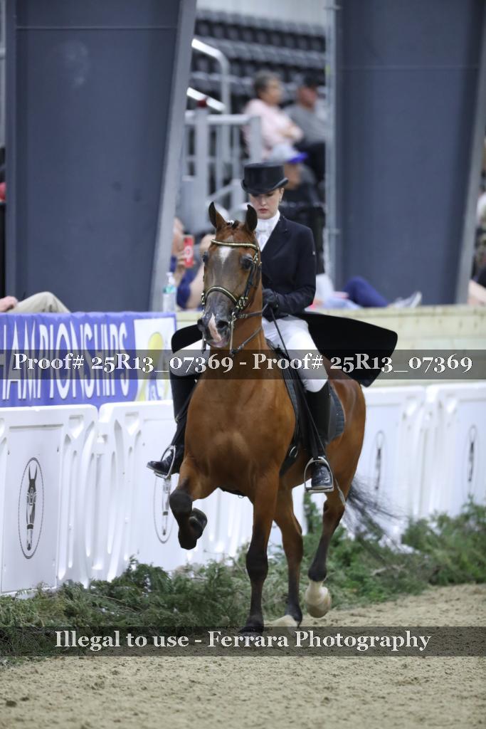Proof 25R13_07369
