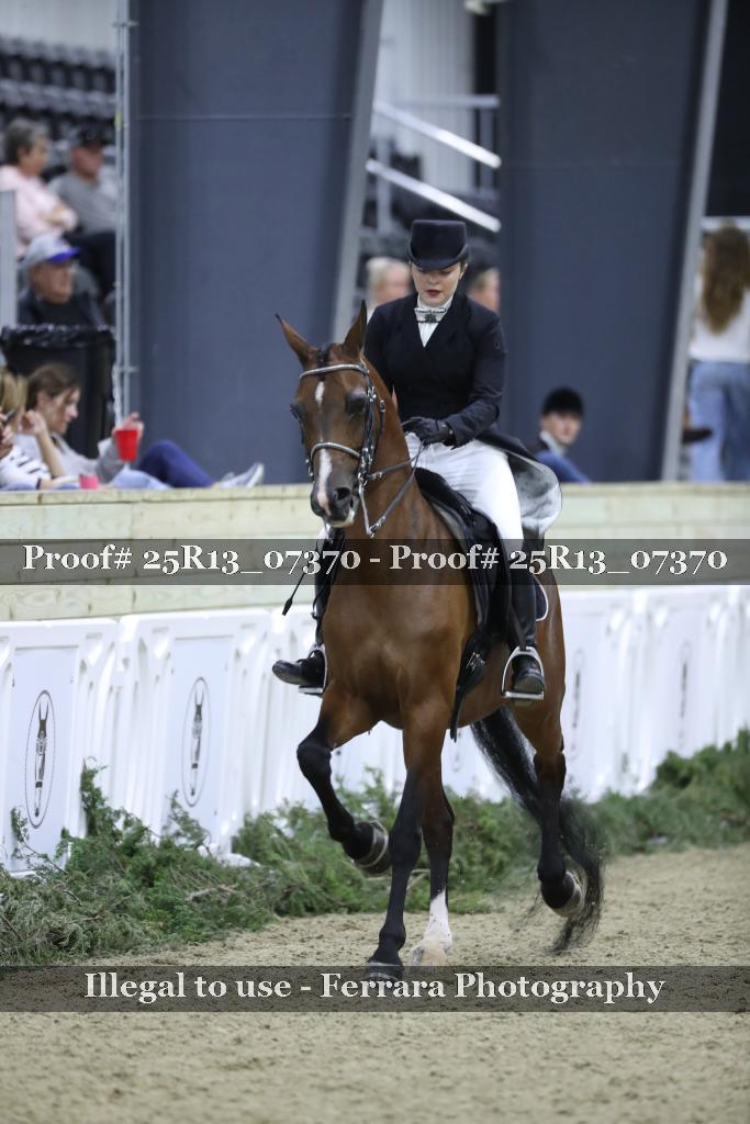 Proof 25R13_07370