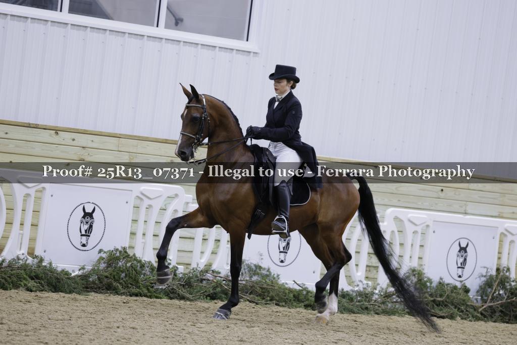 Proof 25R13_07371