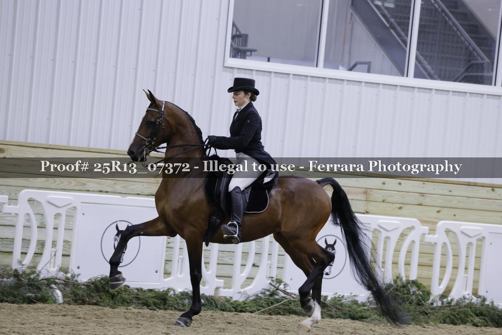 Proof 25R13_07372