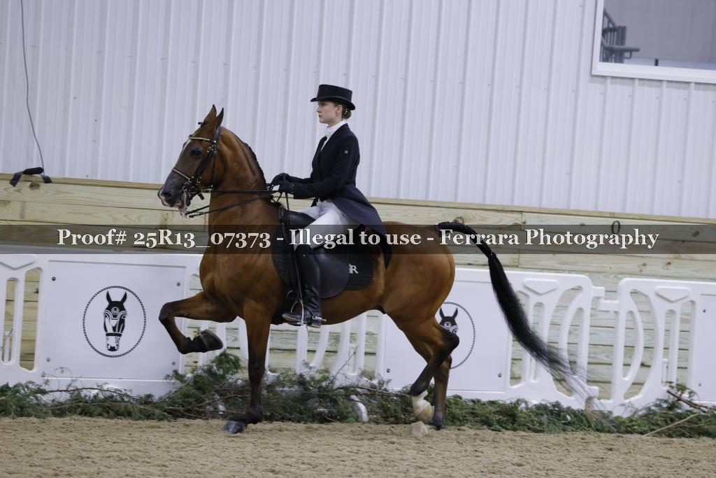 Proof 25R13_07373