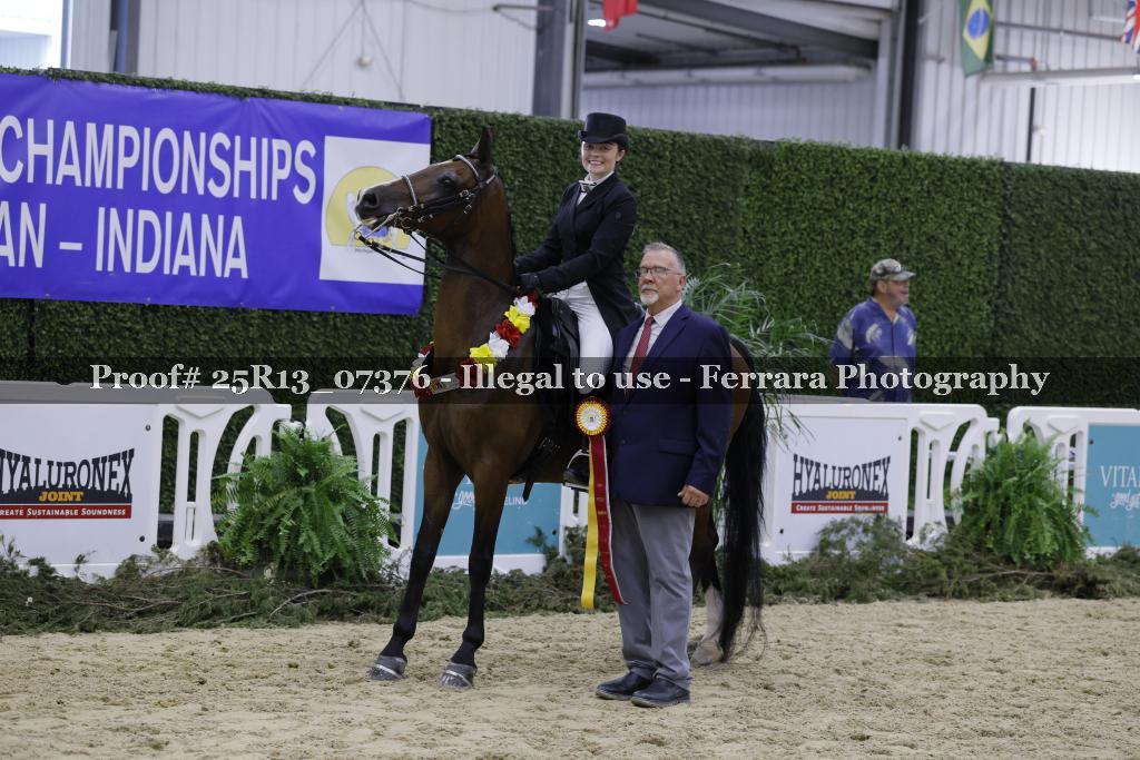 Proof 25R13_07376