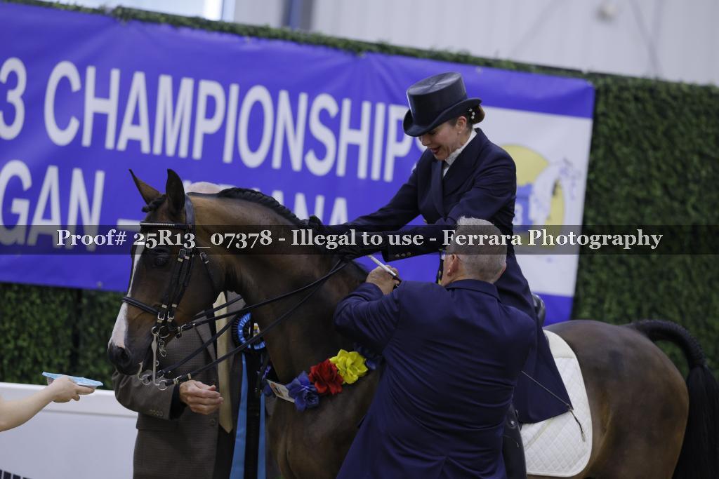 Proof 25R13_07378
