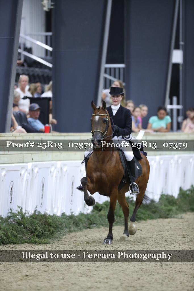 Proof 25R13_07379
