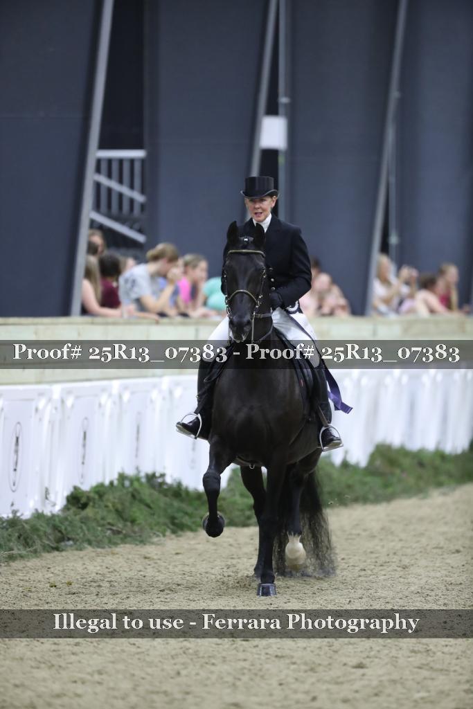 Proof 25R13_07383