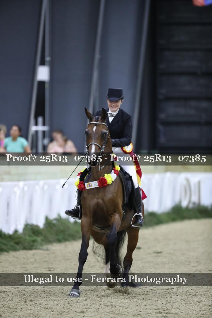 Proof 25R13_07385