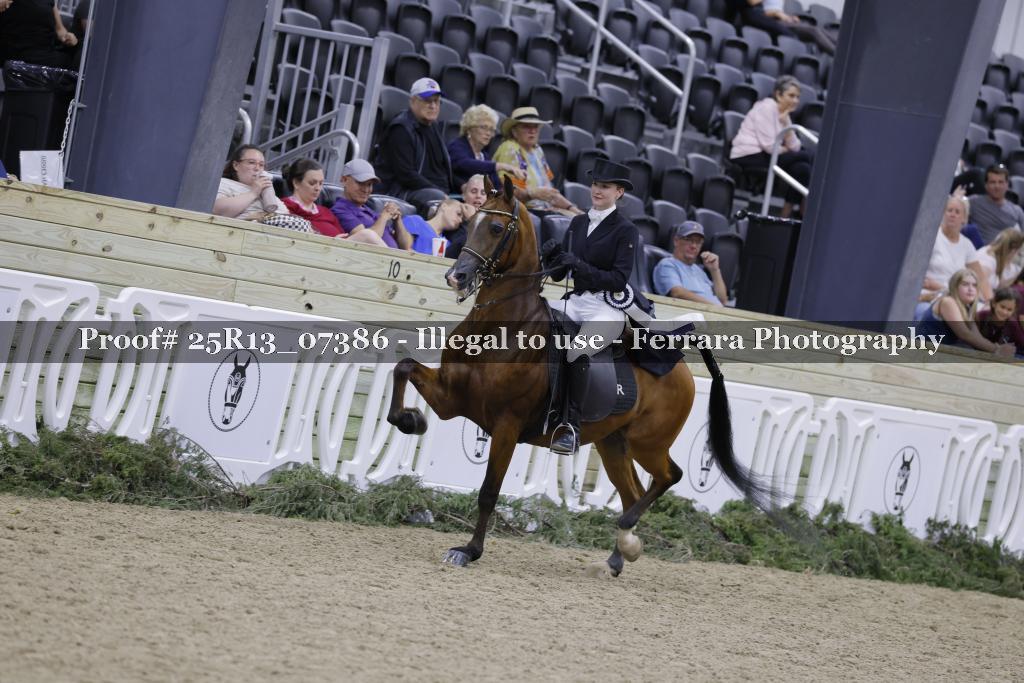 Proof 25R13_07386