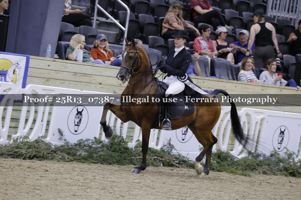 Proof 25R13_07387